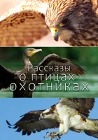  Рассказы о птицах-охотниках смотреть онлайн тв шоу 1 сезон 