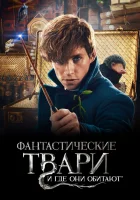  Фантастические твари и где они обитают смотреть онлайн (2016) 