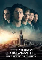  Бегущий в лабиринте: Лекарство от смерти смотреть онлайн (2018) 