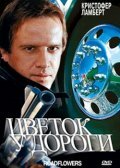  Цветок у дороги смотреть онлайн (1993) 