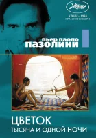  Цветок тысяча и одной ночи смотреть онлайн (1974) 