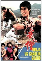  Ниндзя против стражей Шаолиня смотреть онлайн (1984) 