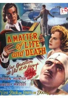  Лестница в небо смотреть онлайн (1946) 